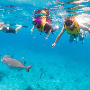 科苏梅尔潜水之旅与成百上千的鱼礁附近。